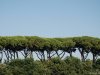 Reggia di Caserta