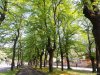 Reggio Emilia