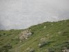 Alpe Pedriola