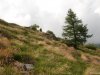 Alpe Pedriola