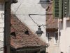 Sibiu - Piata Aurarilor