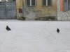 Sibiu Hermannstadt