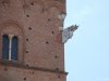 Siena