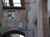 Siena