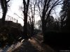 Sighisoara
