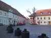 Sighisoara