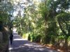 Sintra