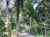 Sintra