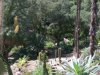 Sintra