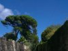 Sintra