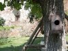 Cetatea din Slimnic