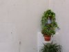 Sperlonga