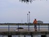 Sulina