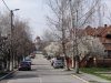 Targu Jiu