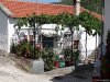 Insula Thassos
