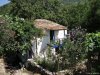 Insula Thassos