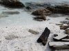 Insula Thassos