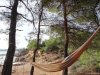 Insula Thassos