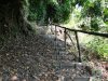Insula Thassos