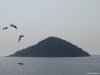 Insula Thassos
