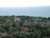 Insula Thassos