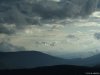 Transalpina