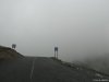 Transalpina