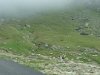 Transalpina