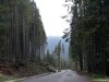 Transalpina