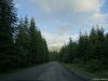 Transalpina