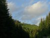 Transalpina