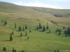 Transalpina