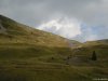 Transalpina
