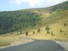 Transalpina