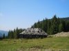 Transalpina