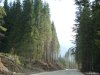 Transalpina