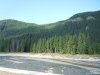Transalpina
