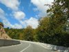 Transalpina