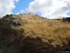 Transalpina