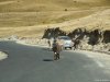Transalpina