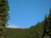 Transalpina