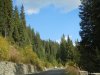 Transalpina