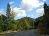 Transalpina