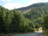 Transalpina