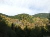 Transalpina