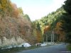 Transalpina