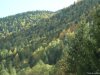 Transalpina