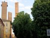 Universitatea din Pavia