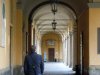 Universitatea din Pavia
