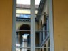 Universitatea din Pavia